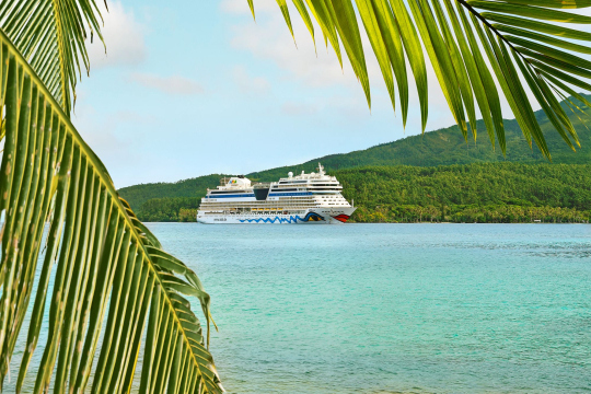 AIDA Kreuzfahrtschiff liegt vor Anker, karibische Insel, t&uuml;rkisblaues Meer