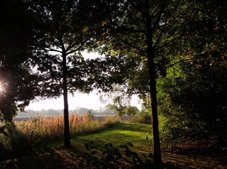 Familienurlaub im Center Parc Tossens