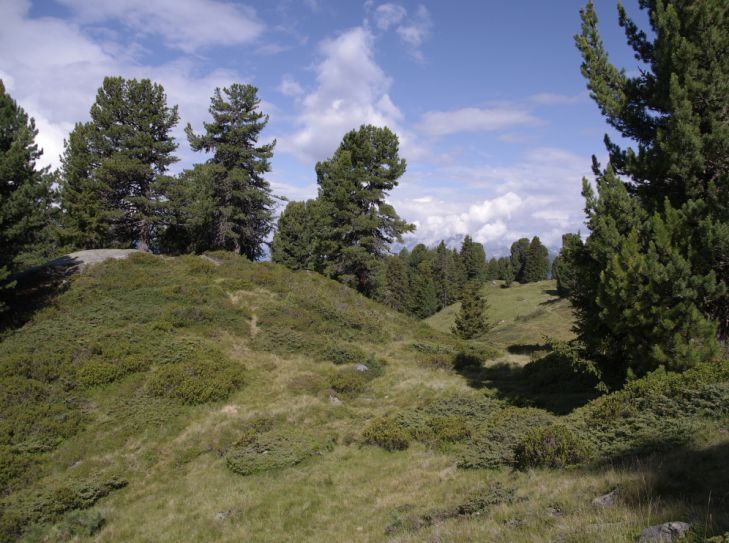 Salzburger Land - vielseitiger Urlaub in den Bergen