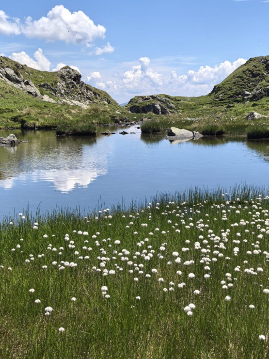 original 520563512 1323908083070285 2716053934620953958 n