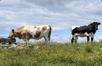 original 514396793 1329319372529156 7877472992359149008 n