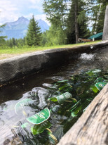 original 523832775 1325712522889841 8064596372182592031 n