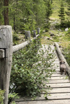 original 525461811 1330288945765532 6098218644805658450 n