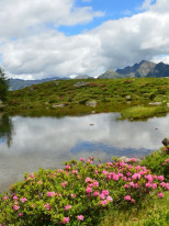 original 527314271 17951099528990812 4671562191283425140 n