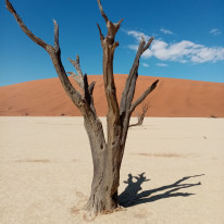 original Namibia 7 002